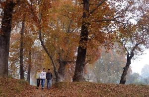 Kashmir turns pale